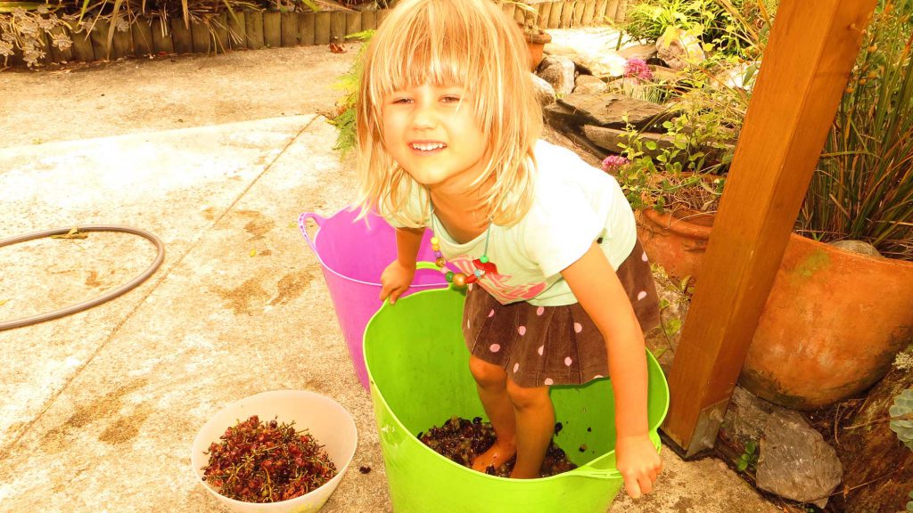 Girl making juice by crushing grapes with feet