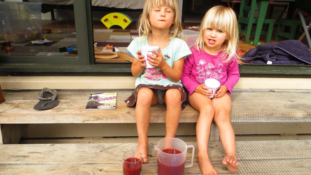 Two girls drinking home made juice